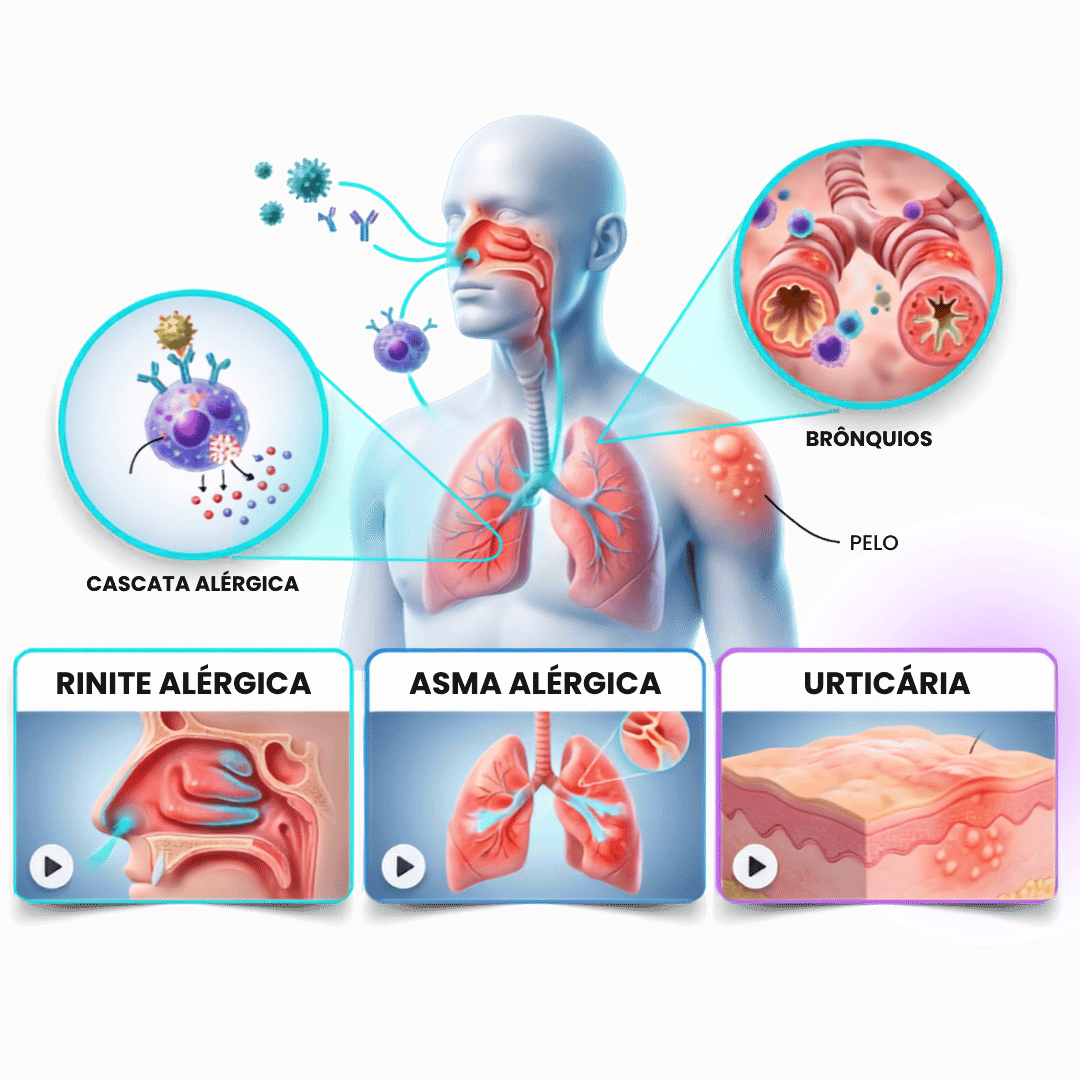 Mockup Alergista-Imunologista